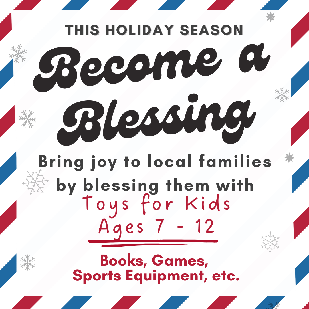2025 Blessings - Toys for Ages 7 - 12